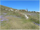 Stahovica - Gradišče (Velika planina)